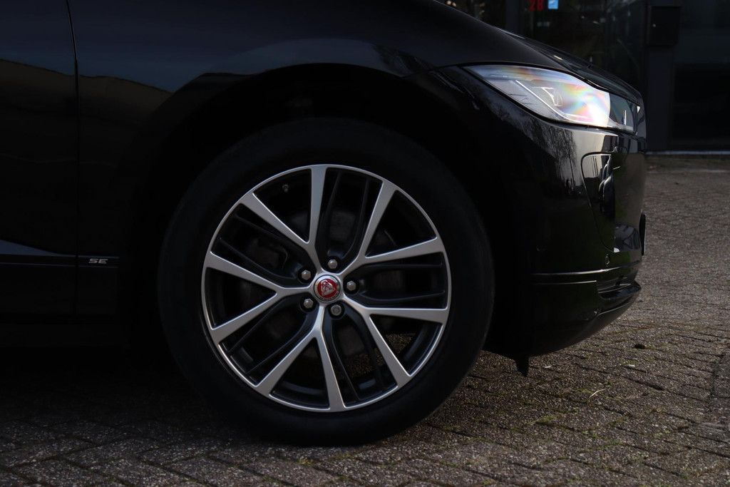 43691920-35.jpg